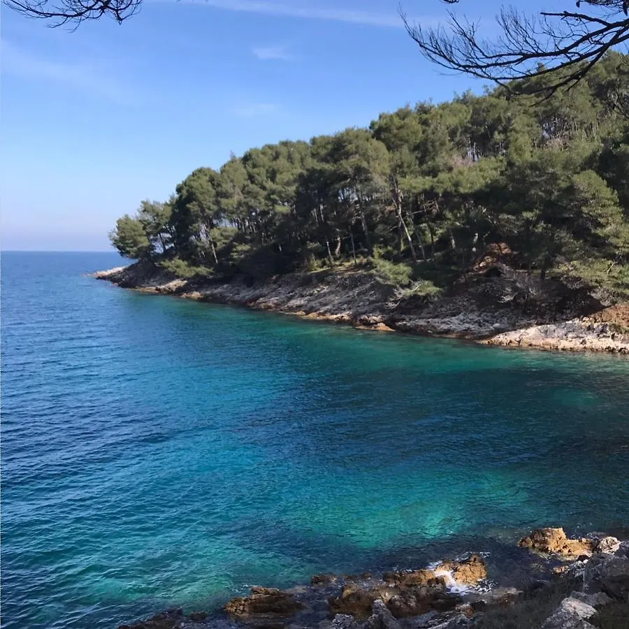 Apartmani Artatore Cunski Croatia