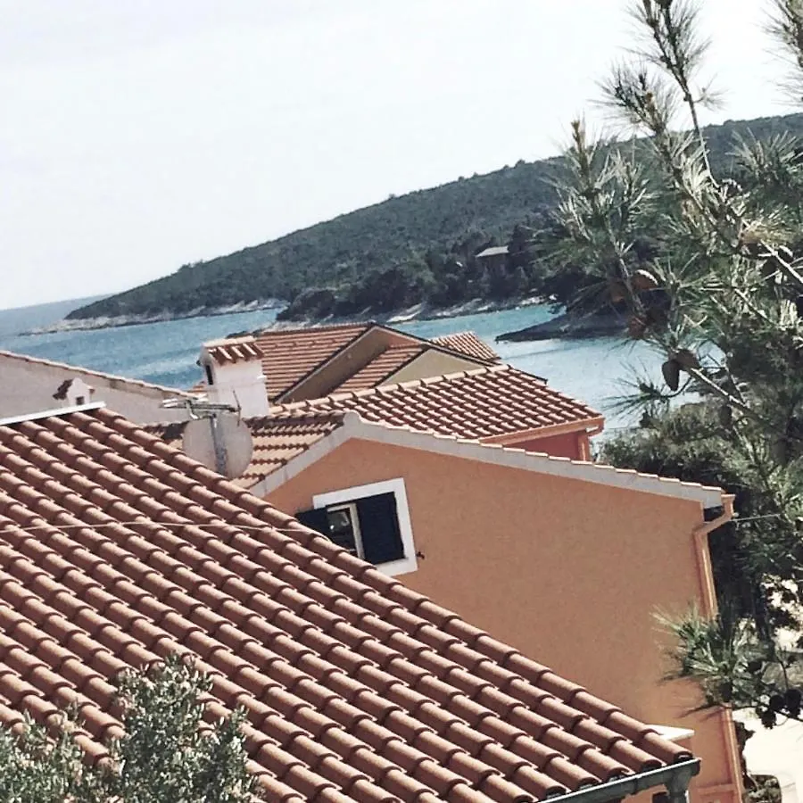 Apartment Apartmani Artatore Cunski