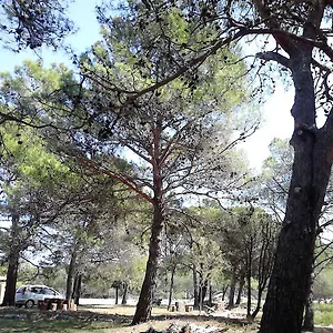 Eco Secluded Zabodarski Apartmán